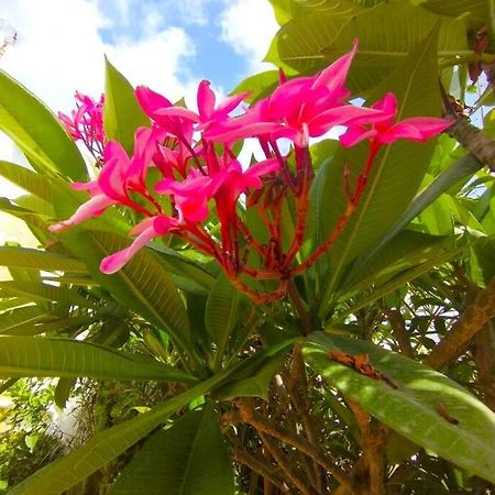 Beautiful 3 Bedroom Townhouse In Urb. Tropicana, Nerja Kültér fotó