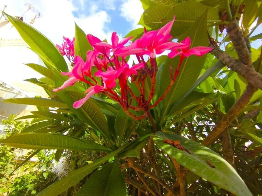 Beautiful 3 Bedroom Townhouse In Urb. Tropicana, Nerja Kültér fotó